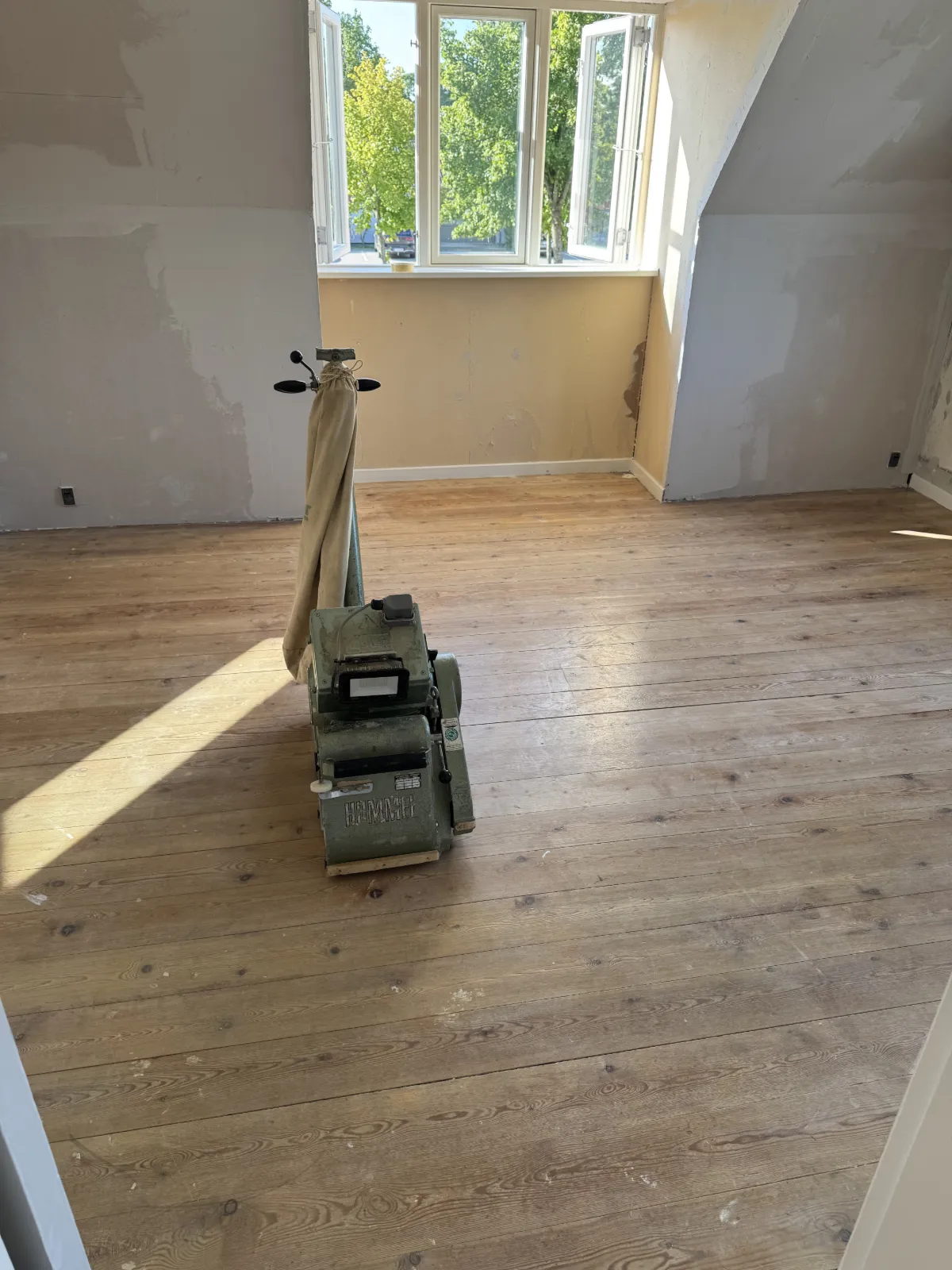 Udgangspunkt før arbejdet: Massivt Fyrretræ i Sorø — billede 2