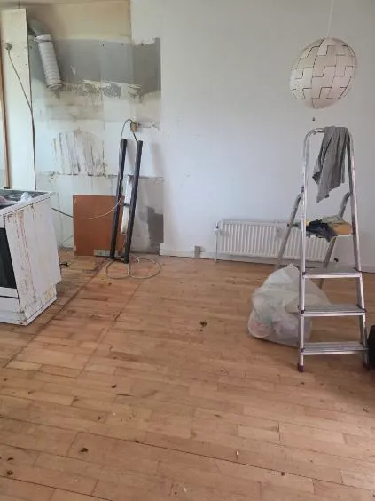 Udgangspunkt før arbejdet: Fyrretræ i Ringsted
